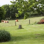 Panorama Wees