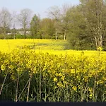 Panorama Wees