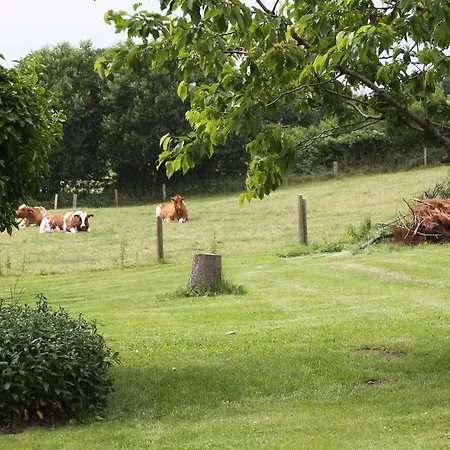 Panorama Wees