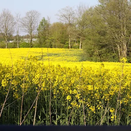 Panorama Wees