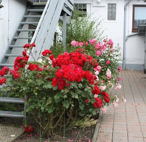 Affittacamere Panorama