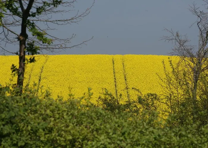 Affittacamere Panorama Wees