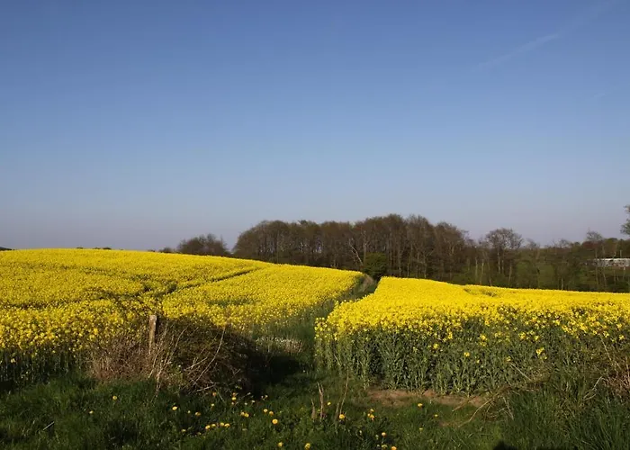 Pensionat Panorama 3*