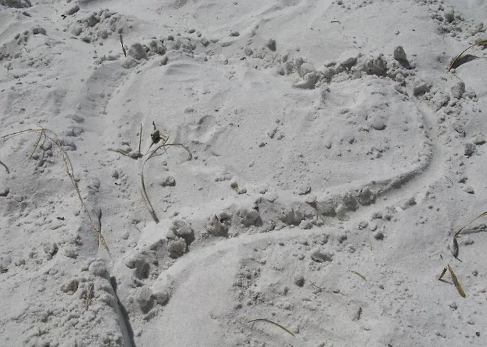 Panorama Affittacamere Wees